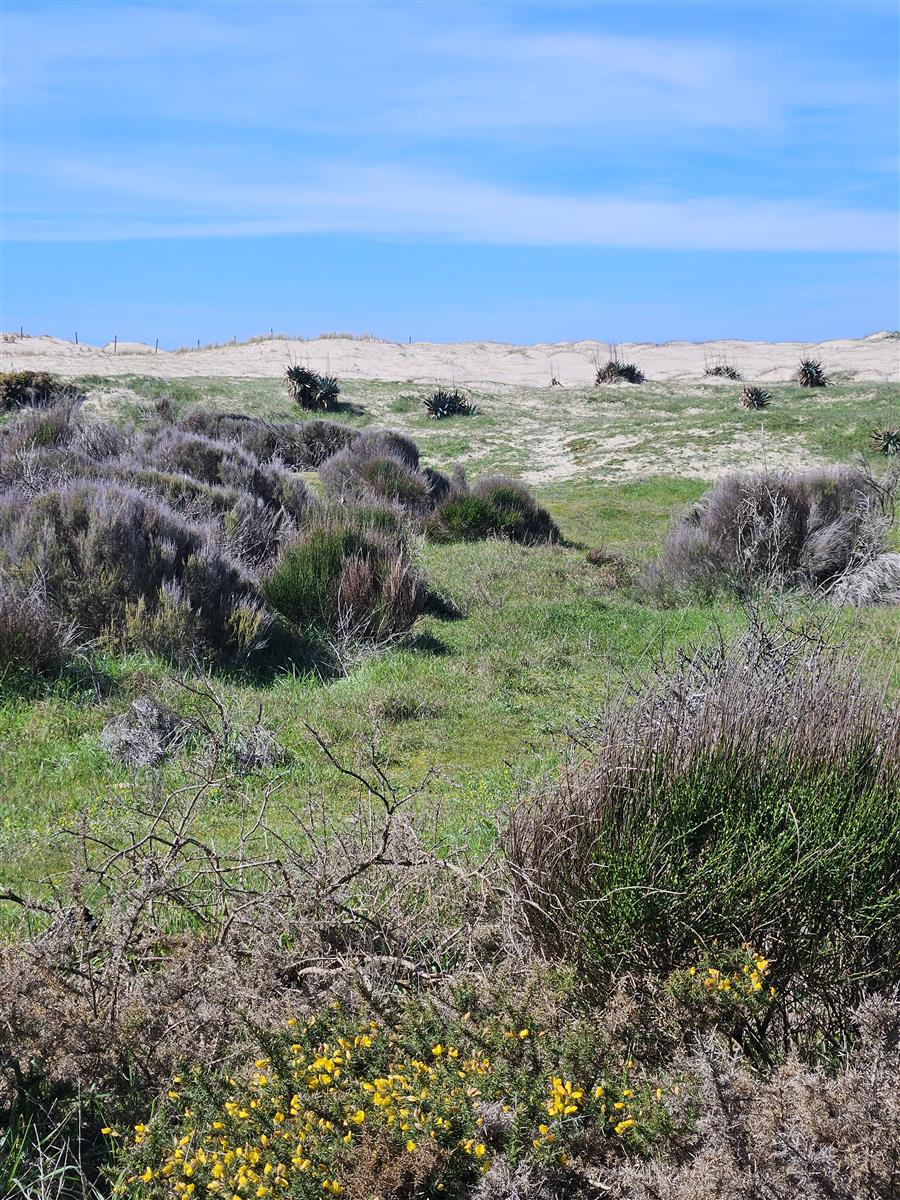 Les découvertes de Monta : découverte du milie ...