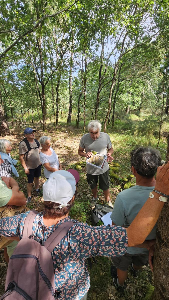 Les découvertes de Monta : Les secrets de la f ...