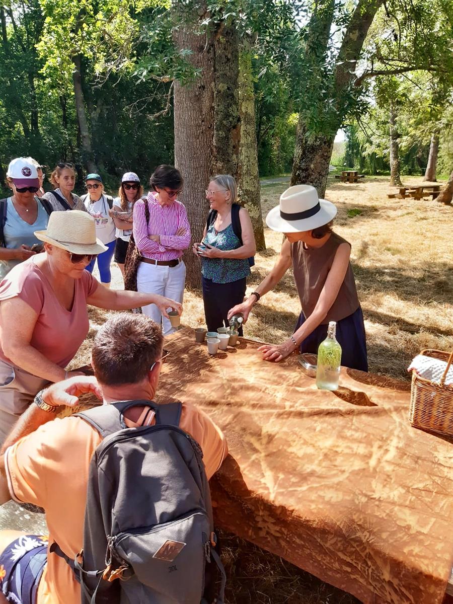Les découvertes de Monta : Plantes sauvages et ...