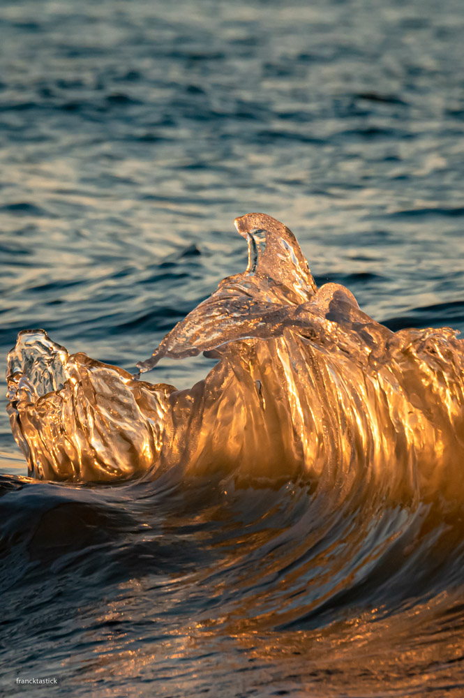 Exposition Francktastick Photographe