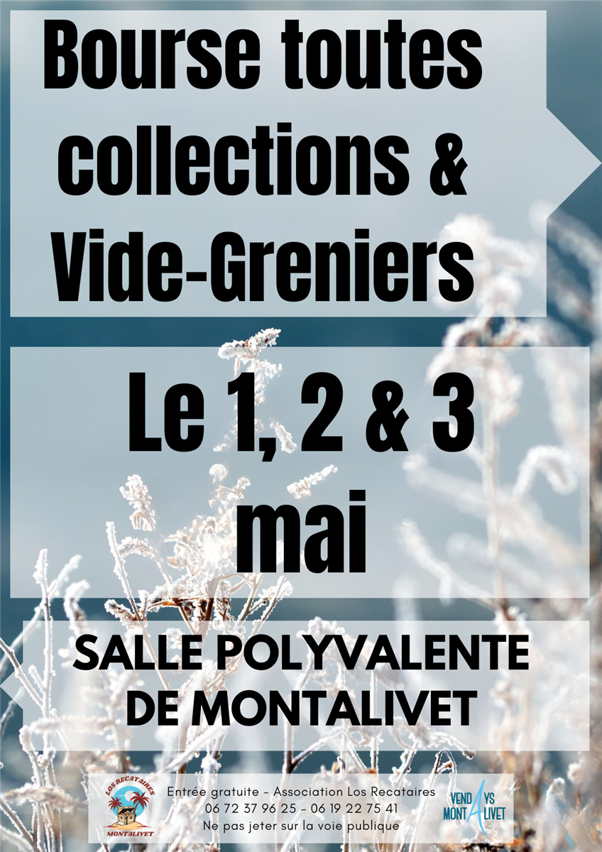 bourses toutes collections et vide-greniers