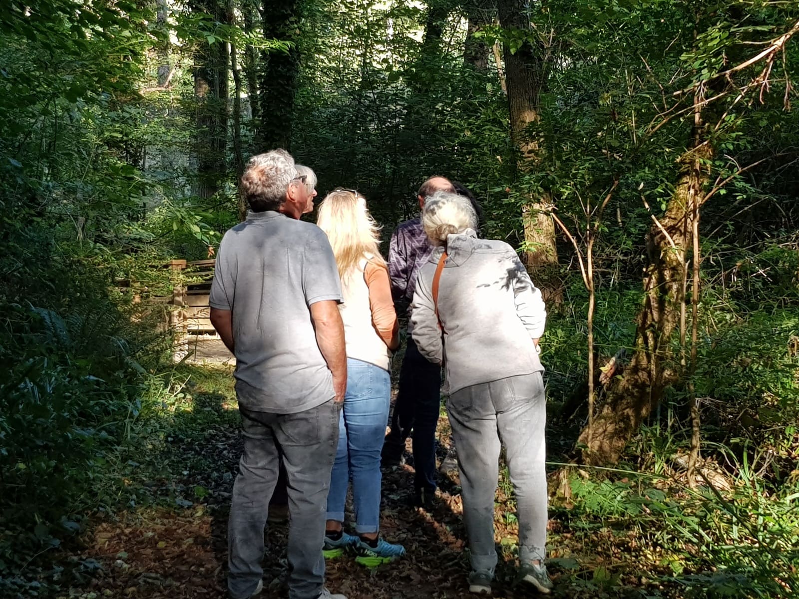 Balade sur le Domaine nature et de loisirs de  ...
