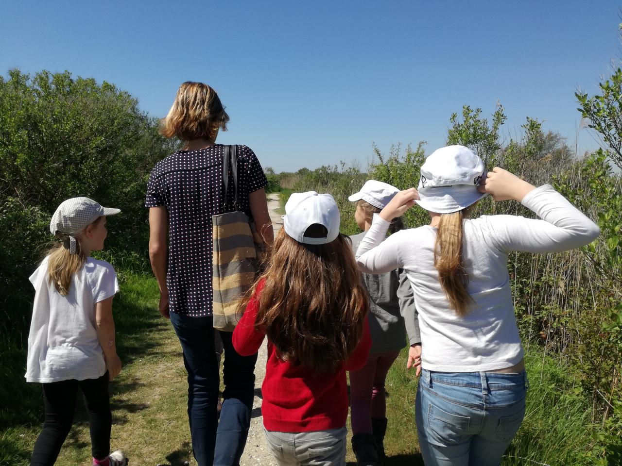 Marche pédestre festive & nature à Pauillac