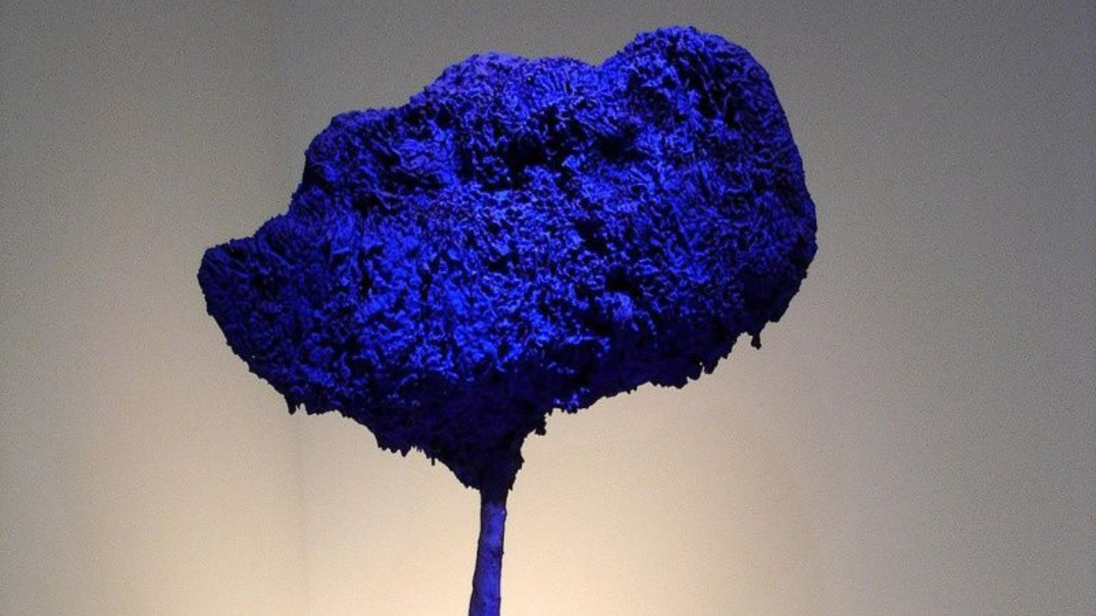 Visite commentée : de l’art moderne à l’art co ...