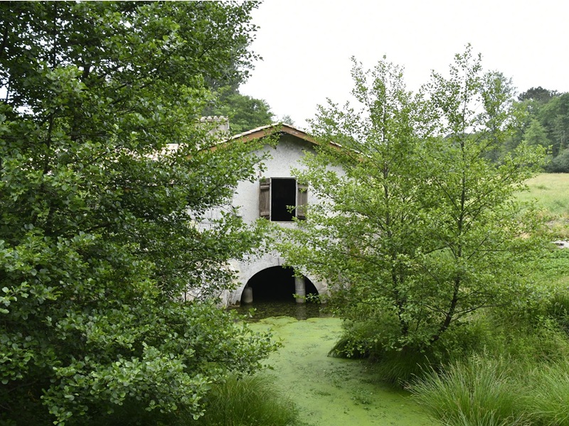 Journées européennes des moulins et du patrimo ...