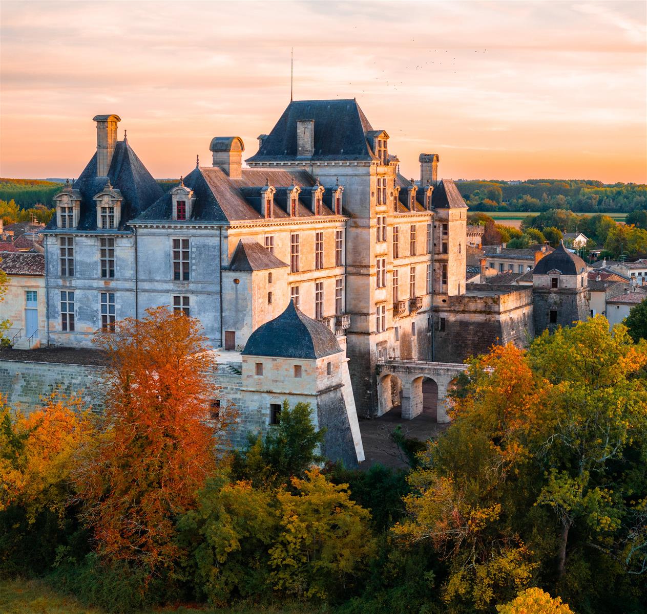 Visite guidée de l'exposition au Château Ducal ...