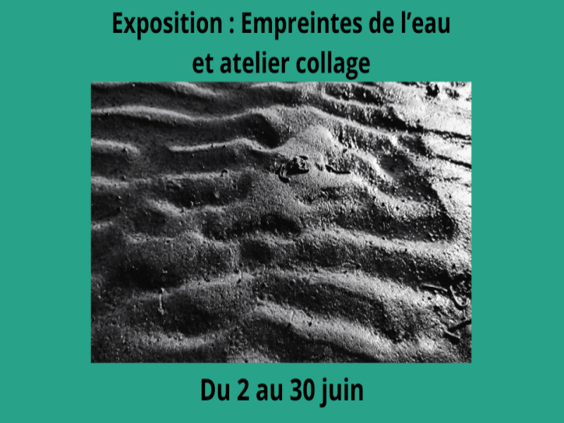 Exposition Empreintes de l'eau par Céline Verm ...