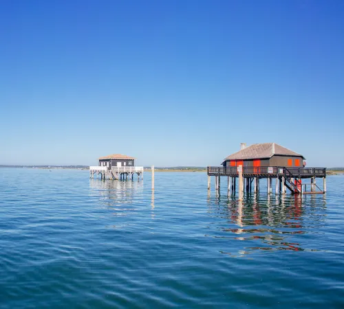Passe Marée Tour de l'île aux oiseaux