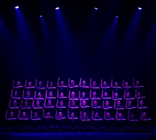 Danse : "Murmuration" Sadeck Berrabah