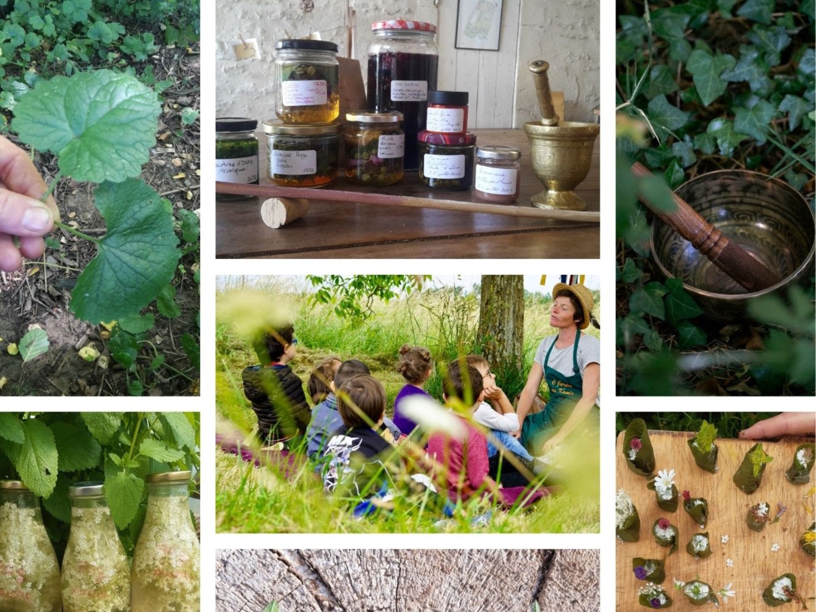 Programme des ateliers et stages d'Ô Jardin de ...