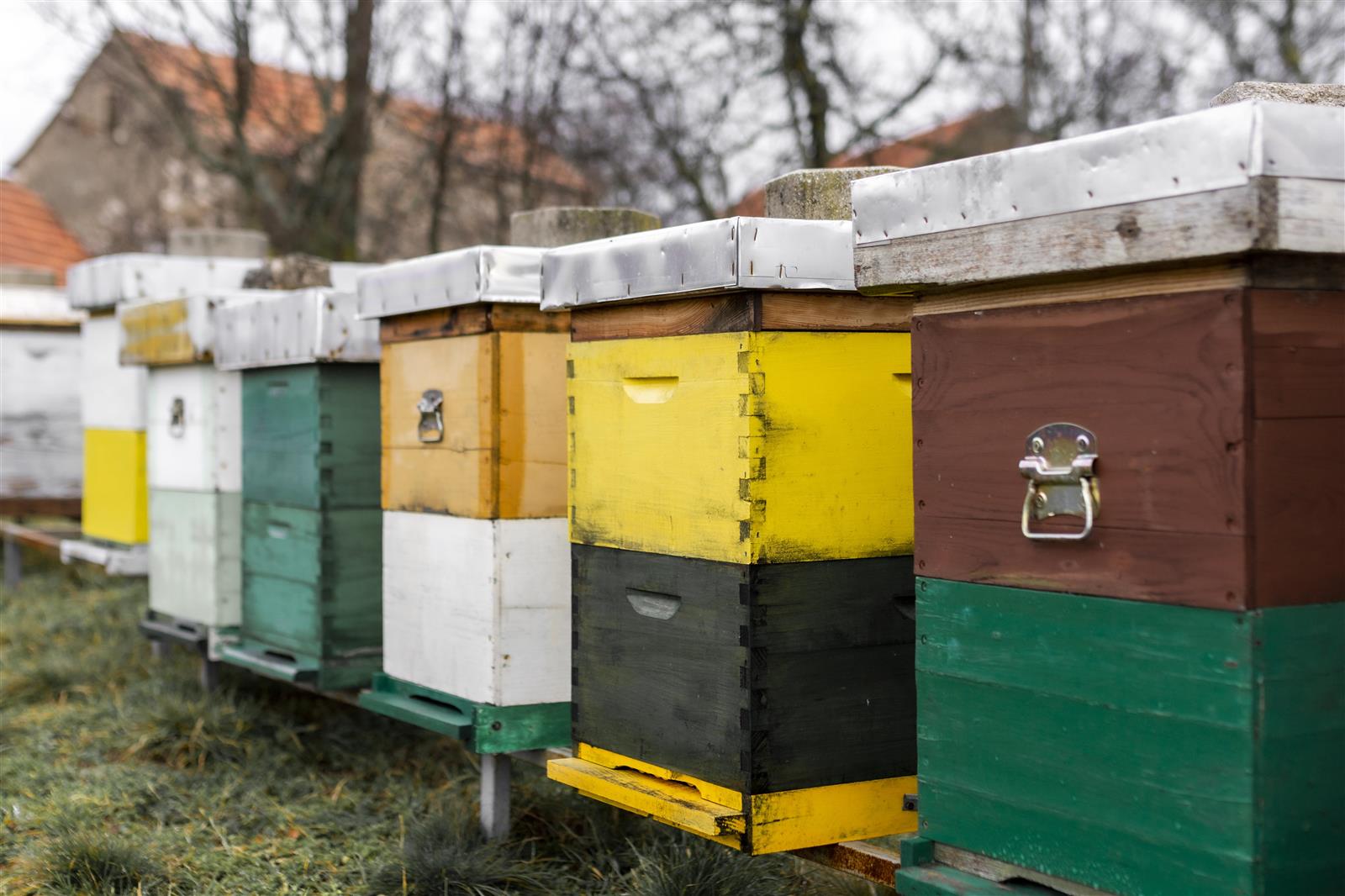 Les ateliers de L'Inter'Val : vie de la ruche
