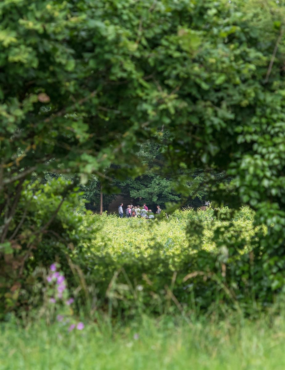 Journée en Charente