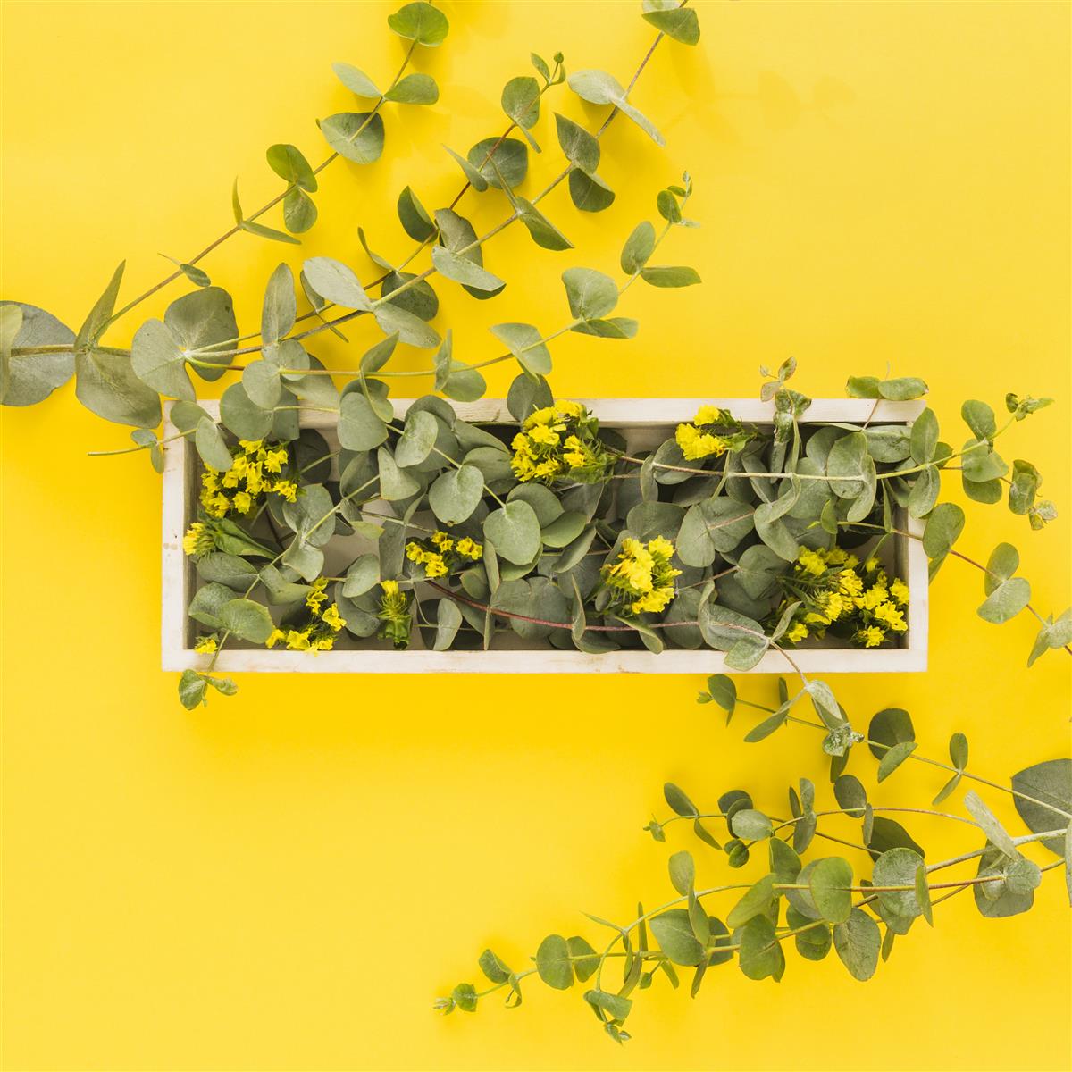 L'été de l'Office : Composition de plantes ave ...