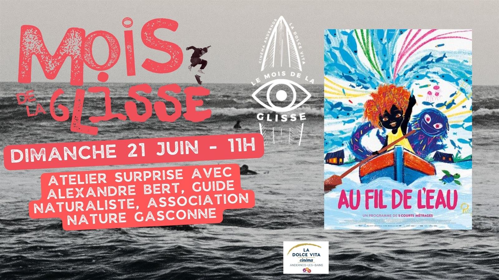Mois de la Glisse : Projection du programme de ...