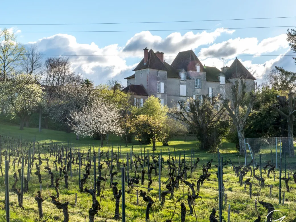 Le Brunch des Vendang ... - Crédit: Château de Chelivette | CC BY-NC-ND 4.0