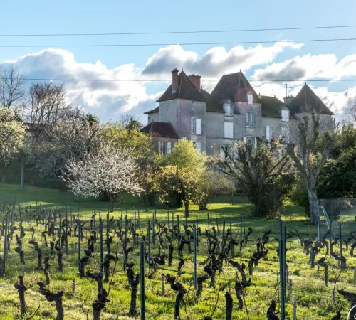 Le Brunch des Vendanges au château de Chelivette