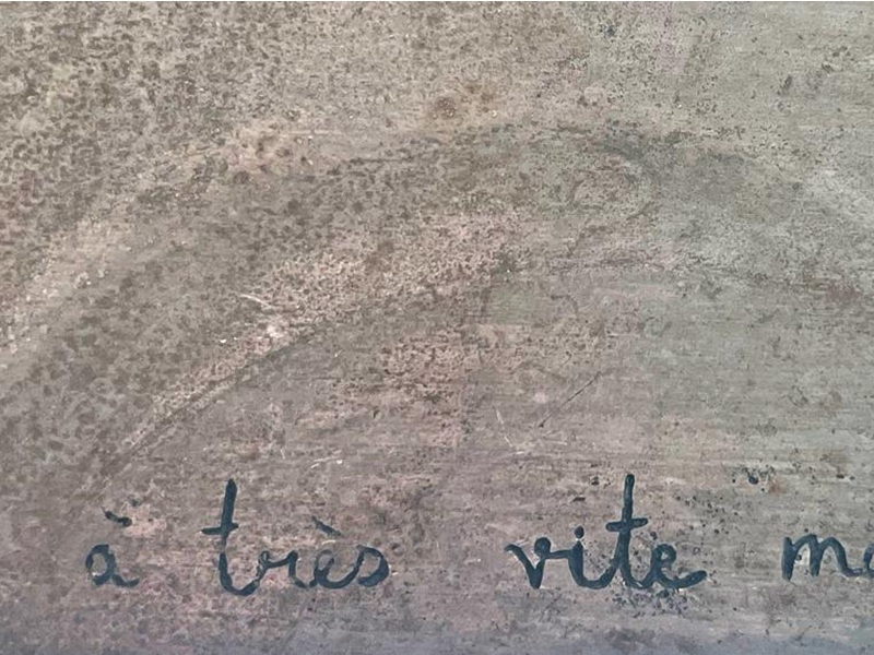 Exposition "A très vite mon Adelphe"
