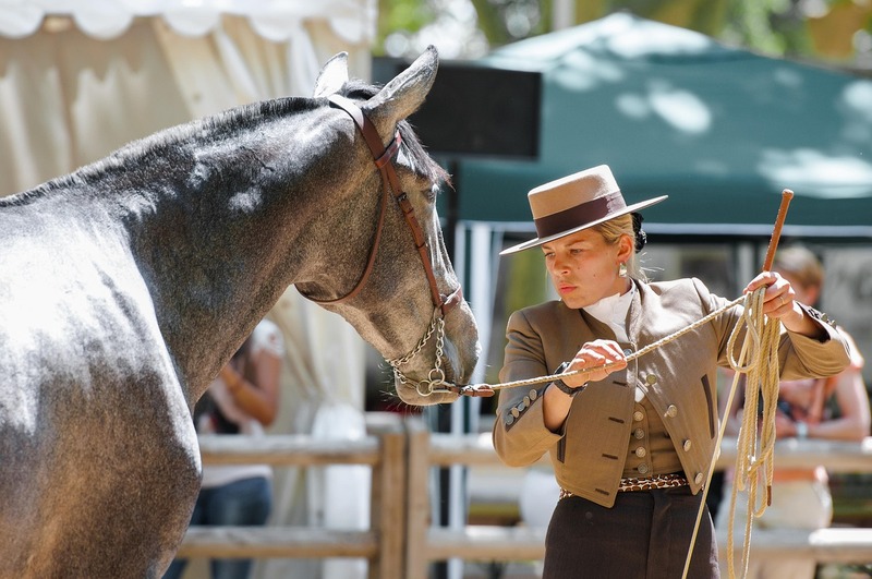 L'hippodrome de Langon fait son show