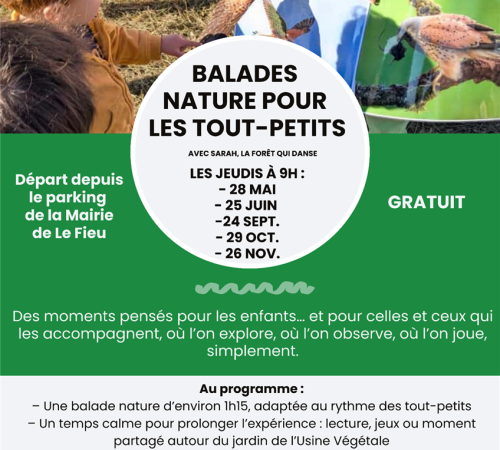 Balades nature pour les tout-petits (de 0 à 3 ans)