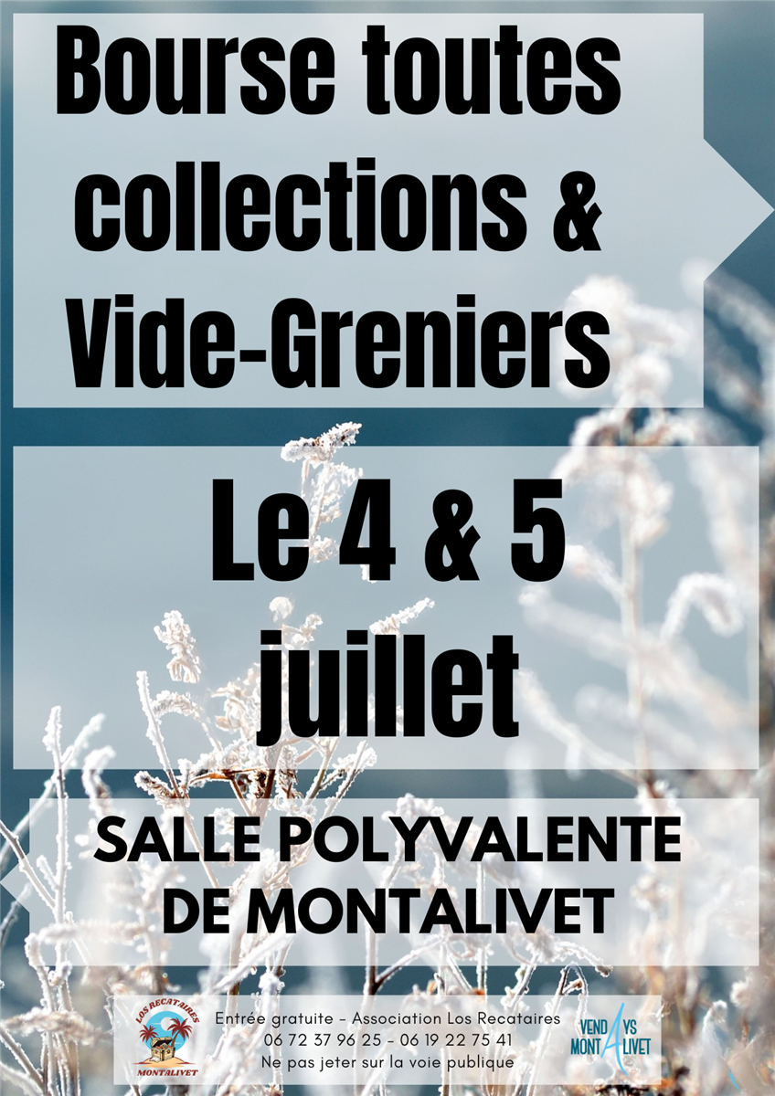 Bourse toutes collections et vide-greniers