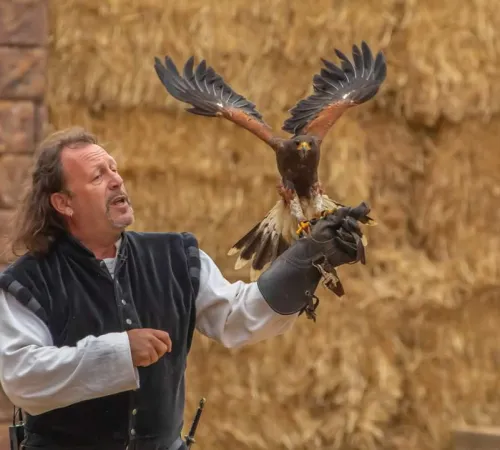 Spectacle Médiéval - REPORTÉ AU 12 SEPTEMBRE