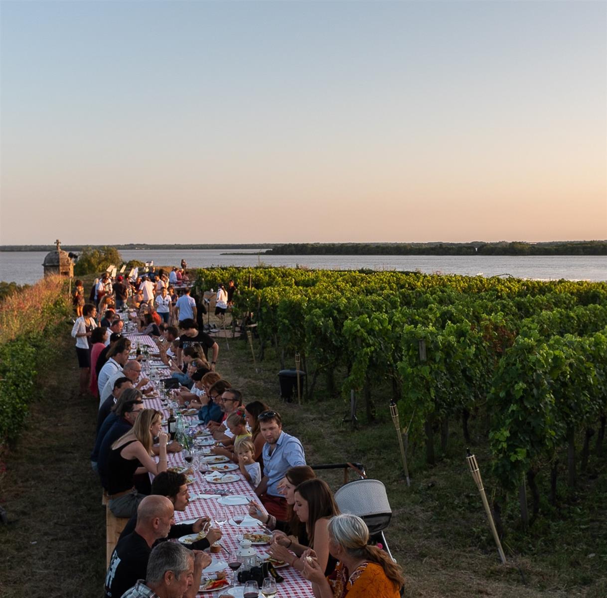 Dîner dans les vignes de la Citadelle