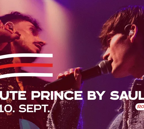 Tribute Prince By Saults + 10 ans Sortie 13