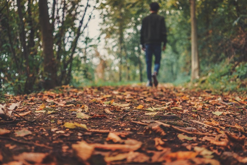 Balade nature "Hommes ... - Crédit: ©Pexels de Pixabay | CC BY-NC-ND 4.0