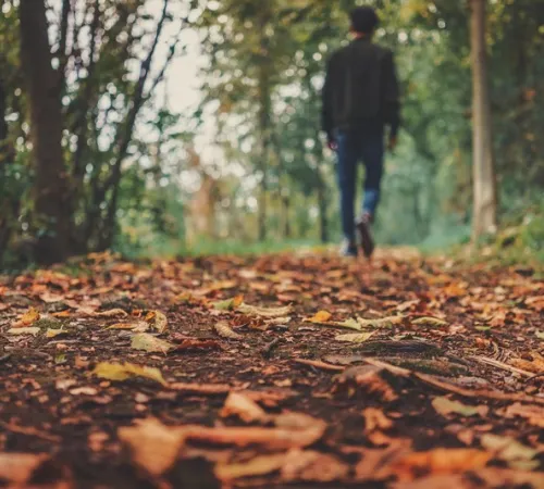 Balade nature "Hommes et espèces sauvages une cohabitation possible"