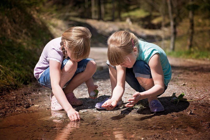 Atelier nature découverte des petites bêtes da ...