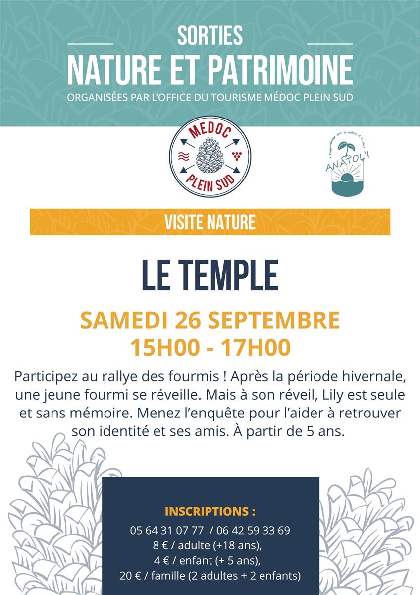 Sortie nature. Rallye des fourmis