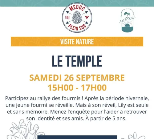 Sortie nature. Rallye des fourmis