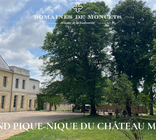 Le Grand Pique-Nique du Château Moncets