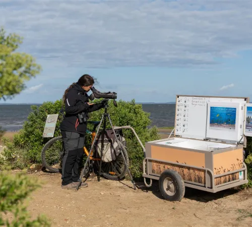Accueil naturaliste sur le sentier du littoral à la Pointe du Teich