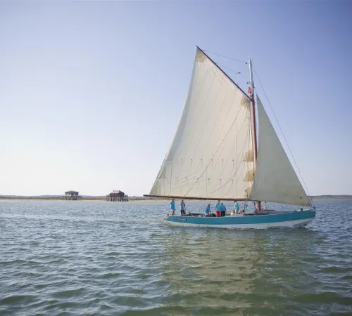 Voile