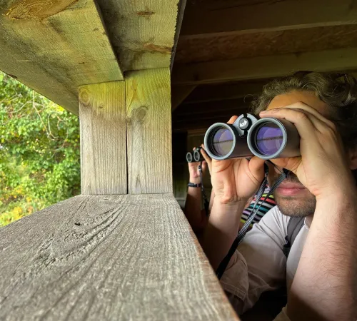 Visite guidée de la Réserve ornithologique du Teich en anglais