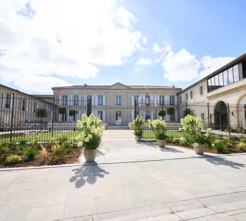 Vignobles en Scène : Immersion sensorielle au Château Grand-Puy Ducasse