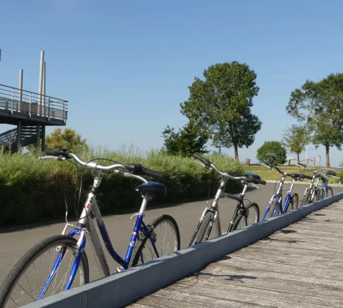 Sortie vélo