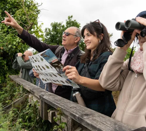 Visite « ornitho-historique » de la Réserve ornithologique du Teich