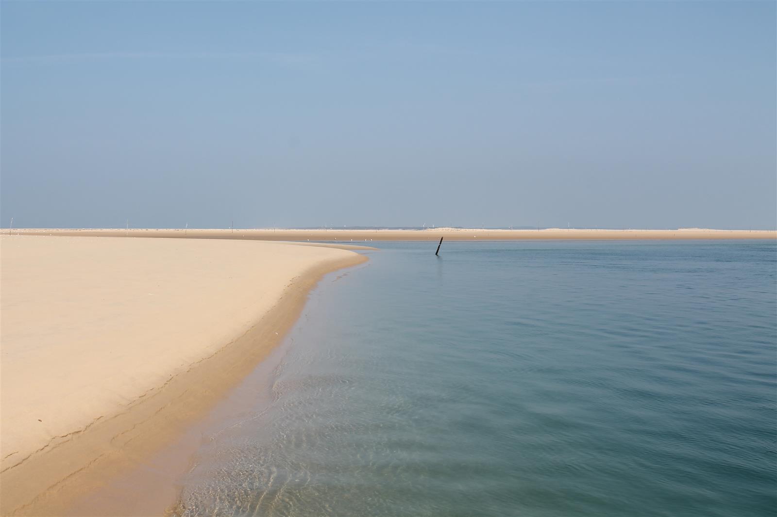 Si le banc d'Arguin nous était conté