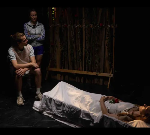 Spectacle "La fée du bois dormant"