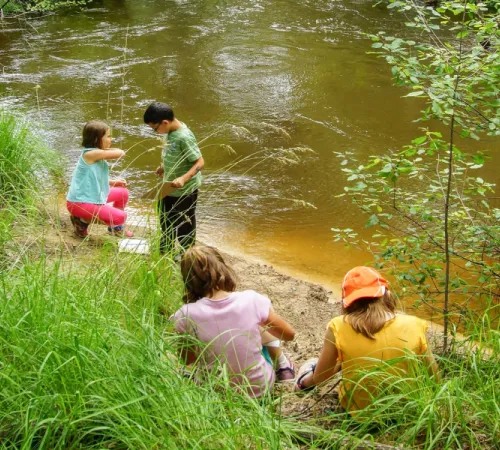 Atelier du petit naturaliste