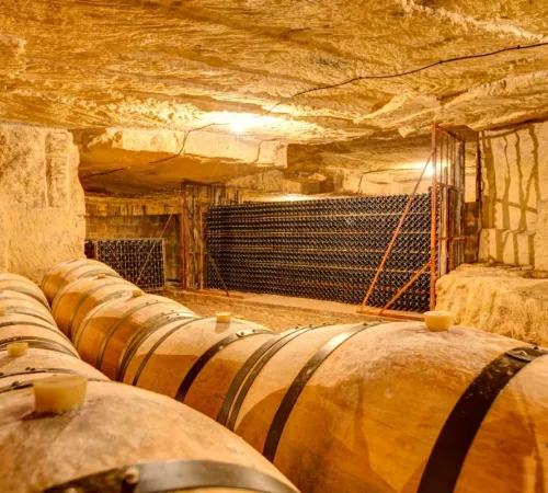 Visites estivales du Château de Bonhoste