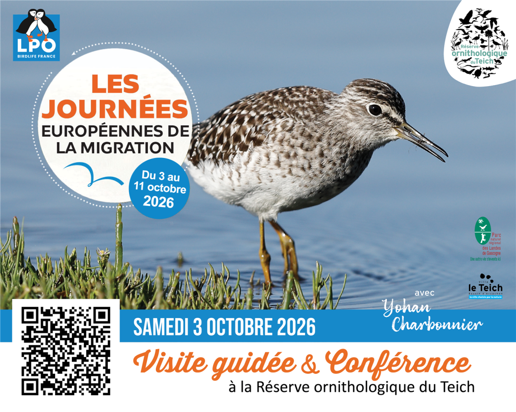 Conférence : « Identi ... - Crédit: Joël Chassin, Réserve ornithologique du Teich | CC BY-NC-ND 4.0