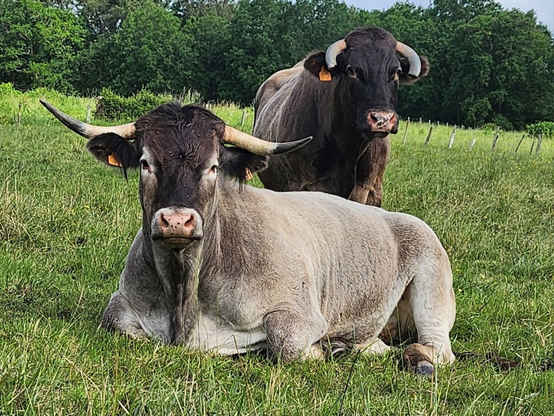 ANNULÉ - Portes ouvertes à la ferme
