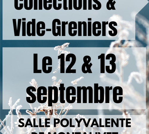 Bourses toutes collections et vide-greniers