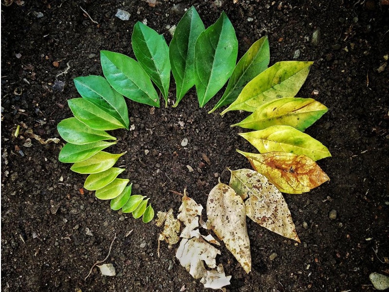 Atelier DIY 100% nature