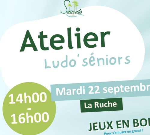 Atelier Ludo séniors