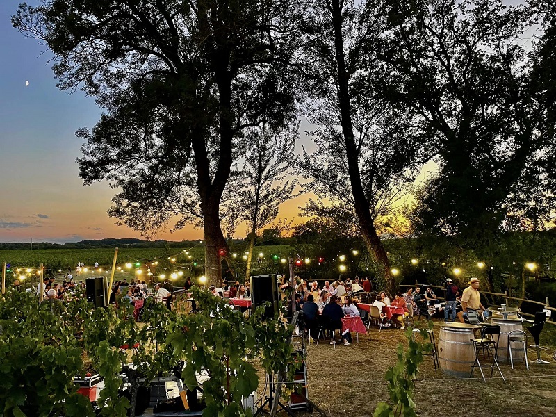 Guinguette La Cabane du vigneron des Vignobles ...