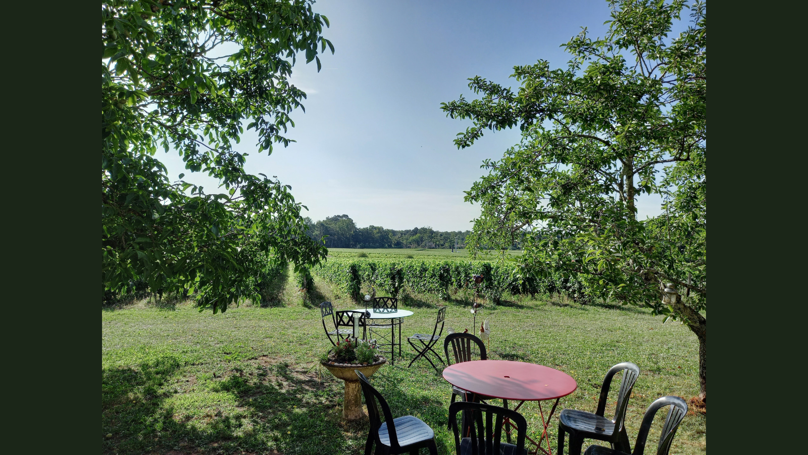Apéro Vigneron - Domaine de Merlet